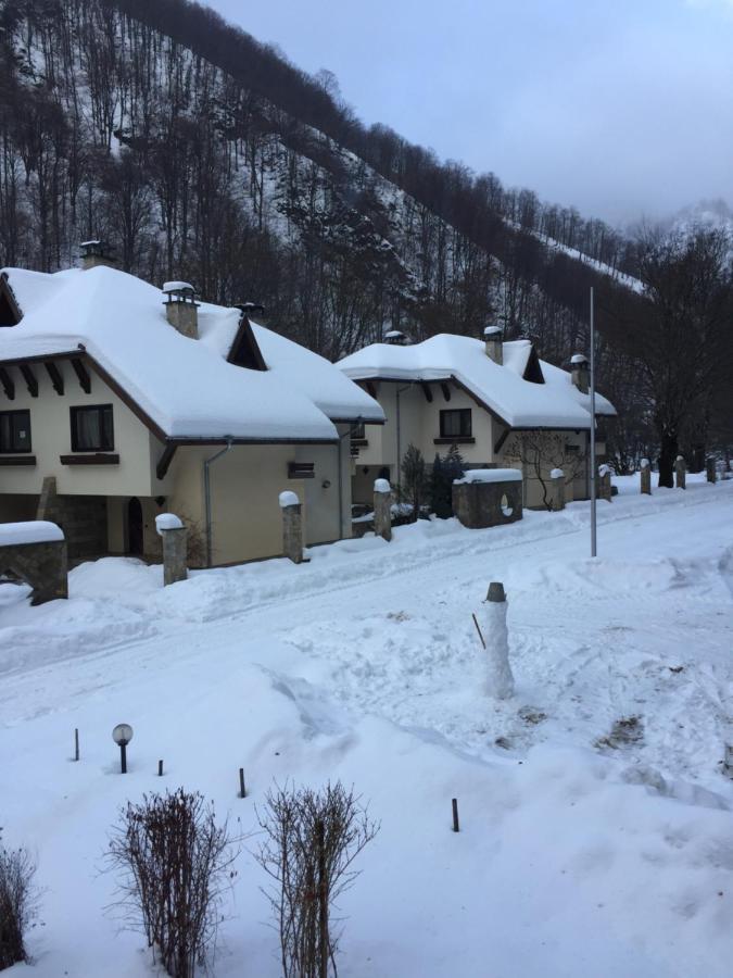 Балкан Вили ريباريكا المظهر الخارجي الصورة