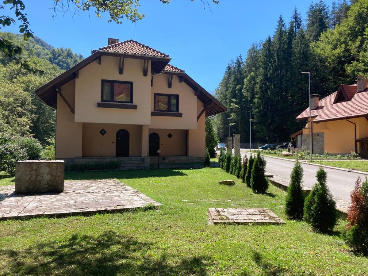 Балкан Вили ريباريكا المظهر الخارجي الصورة